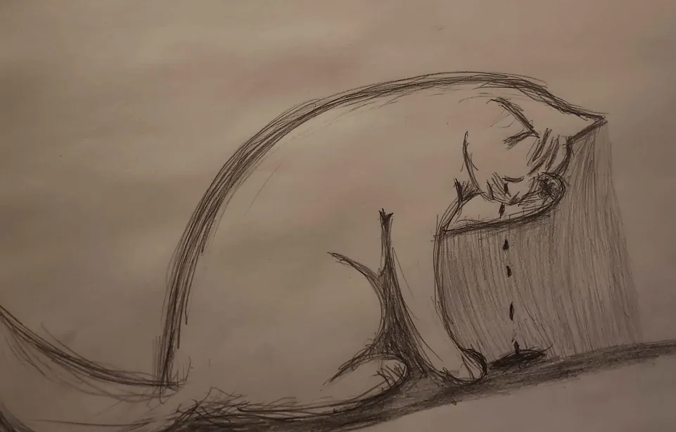 A cat that is very sad